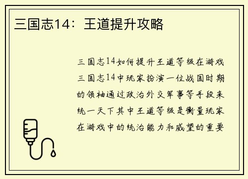 三国志14：王道提升攻略